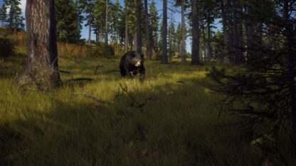 Way of the Hunter - Screenshot 5