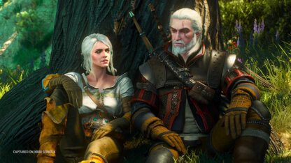 The Witcher 3 Wild Hunt - Screenshot 3